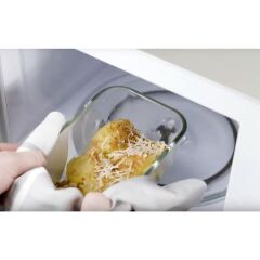 ZWILLING Fresh & Save Vakumlu Başlangıç Seti Cam, 7-parça